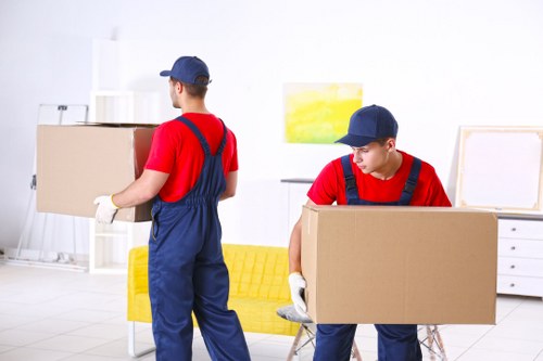 Customer raising a service complaint in a professional moving context