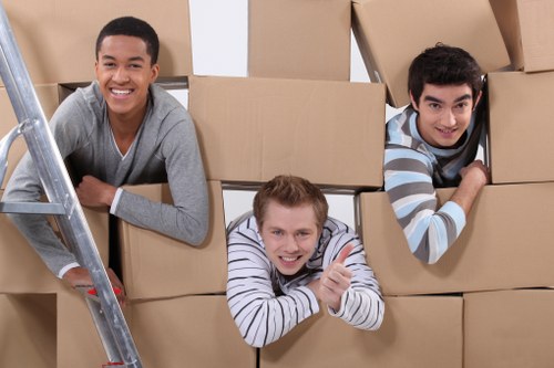 Professional packing support for a flat move in Ravenscourt Park
