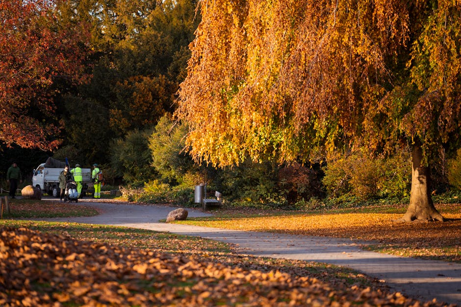 A team of removal workers loading furniture onto a white van parked on a paved pathway within a park during autumn. The scene features a large deciduous tree with orange and yellow leaves, some of which have fallen onto the ground. The workers are dressed in high-visibility clothing and are using a trolley and straps to safely transfer boxes and packed furniture items from the pathway into the van. Fallen leaves surround the area, and a nearby bench and trash bin are visible along the pathway. The background includes dense foliage and a clear sky, highlighting the outdoor setting during the home relocation process managed by [COMPANY_NAME], with an emphasis on loading and packing activities associated with house removals and furniture transport.