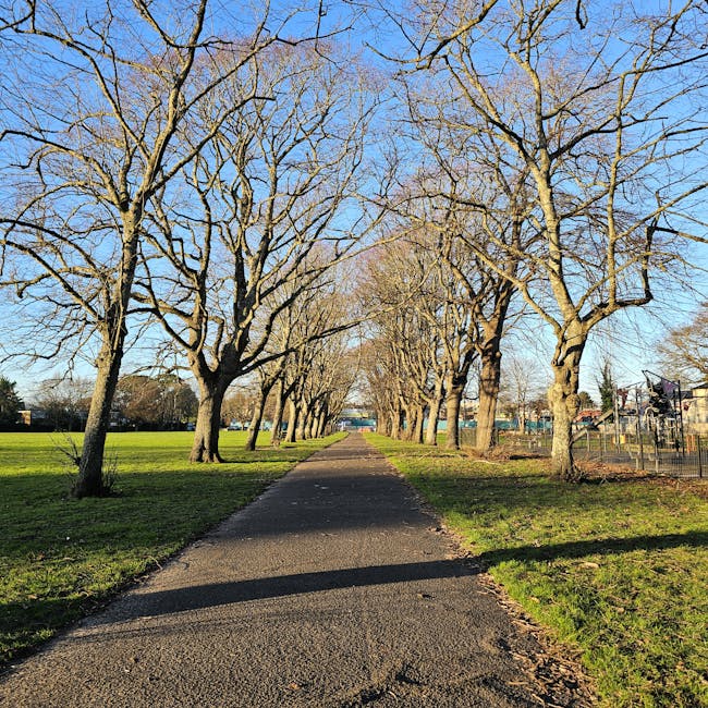 A straight, paved pathway lined with evenly spaced, leafless trees on both sides, extending into the distance under a clear blue sky. The trees cast shadows on the path, which is situated between a grassy lawn on the left and a fenced area with a children's playground and sports equipment on the right. The scene is well-lit by natural daylight, creating a calm and open outdoor environment suitable for walking or outdoor activities. This setting is part of a public park, often associated with areas where house removals and home relocation services, such as those offered by manwithavanravenscourtpark.co.uk, can be coordinated for local moves or outdoor logistics.