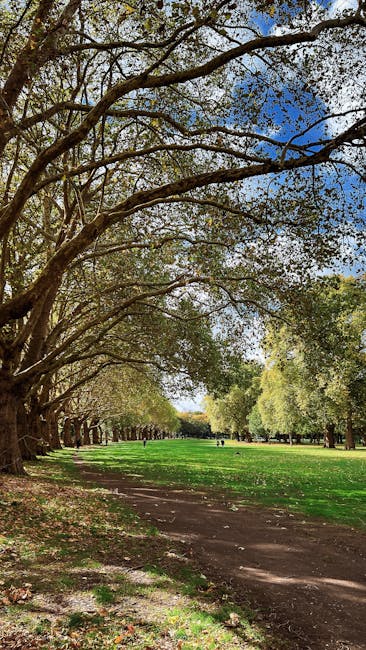 A straight, paved pathway lined with evenly spaced, leafless trees on both sides, extending into the distance under a clear blue sky. The trees cast shadows on the path, which is situated between a grassy lawn on the left and a fenced area with a children's playground and sports equipment on the right. The scene is well-lit by natural daylight, creating a calm and open outdoor environment suitable for walking or outdoor activities. This setting is part of a public park, often associated with areas where house removals and home relocation services, such as those offered by manwithavanravenscourtpark.co.uk, can be coordinated for local moves or outdoor logistics.