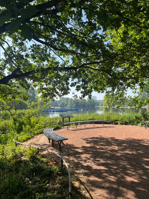 An outdoor scene featuring a designated seating area near a body of water, with a reddish-brown gravel surface surrounded by a metal railing. Two curved benches made of wood and metal are positioned on the gravel, facing the water, which is visible in the background along with a line of boats docked along the shoreline. Overhead, a large tree with lush green leaves provides shade, with dappled sunlight filtering through the branches. In the distance, the water extends towards a treeline and a clear, blue sky. The environment appears peaceful and suitable for relaxation, consistent with a park or natural outdoor space. This scene is captured as part of house removals or home relocation logistics, possibly indicating a scenic route or outdoor area involved in the moving process, as viewed by [COMPANY_NAME].